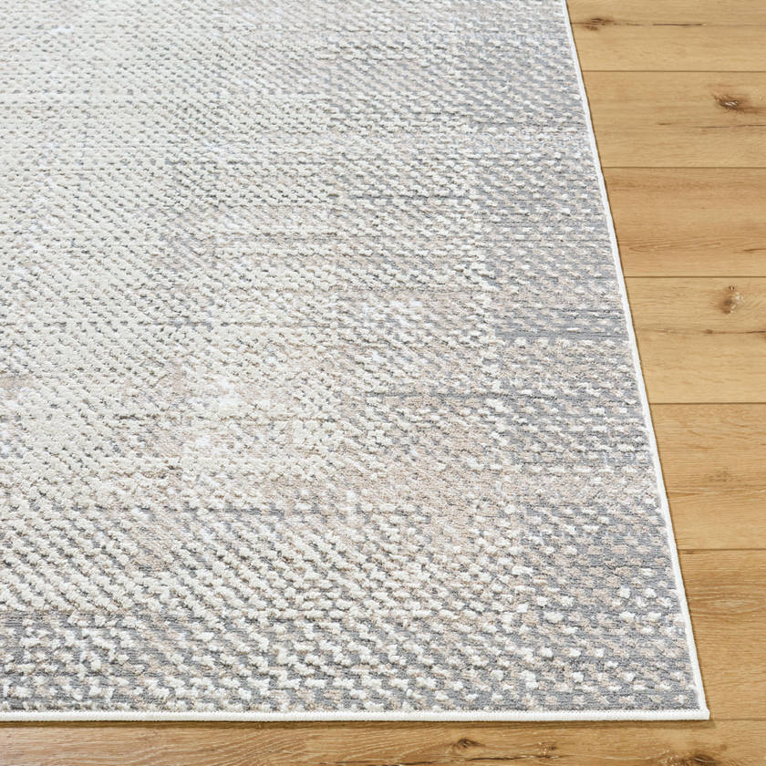 Drey Modern Light Brown/Light Beige Area Rug