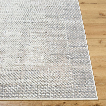 Drey Modern Light Brown/Light Beige Area Rug