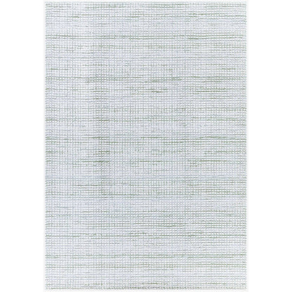Hasson Modern Sage/Light Beige Area Rug