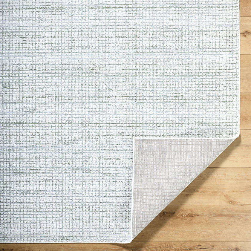 Hasson Modern Sage/Light Beige Area Rug