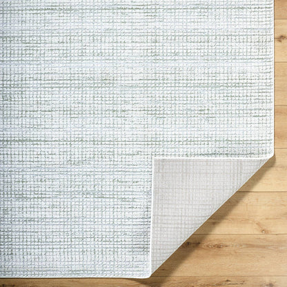 Hasson Modern Sage/Light Beige Area Rug