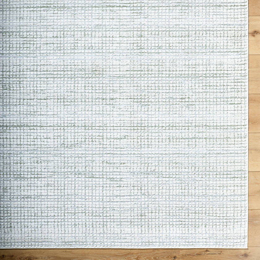 Hasson Modern Sage/Light Beige Area Rug