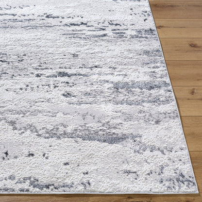 Devyn Modern Light Gray Area Rug