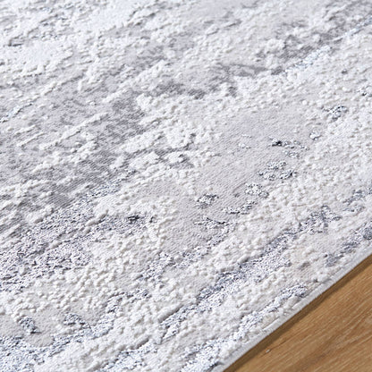 Devyn Modern Light Gray Area Rug