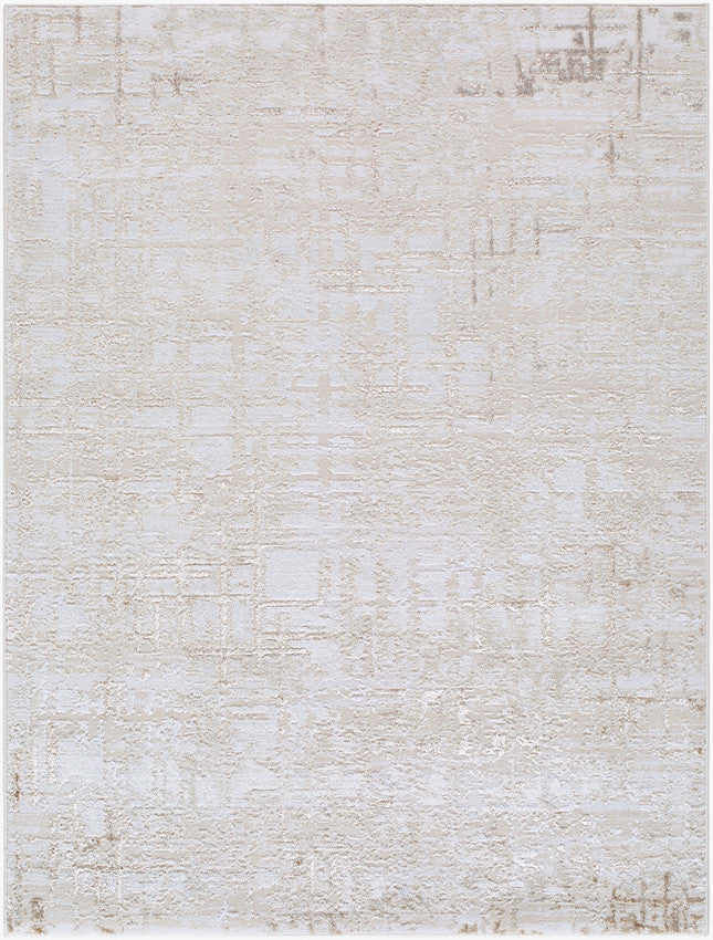 Naji Modern Beige Area Rug