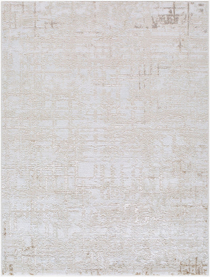 Naji Modern Beige Area Rug