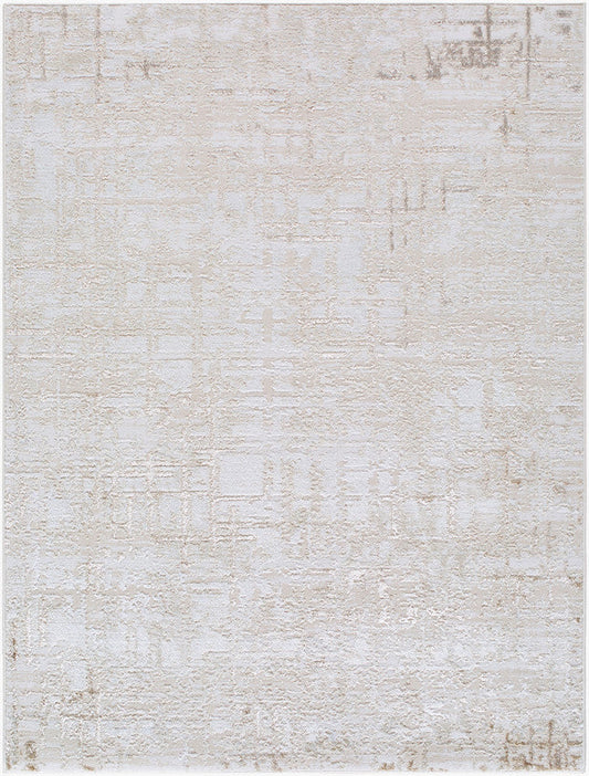 Naji Modern Beige Area Rug