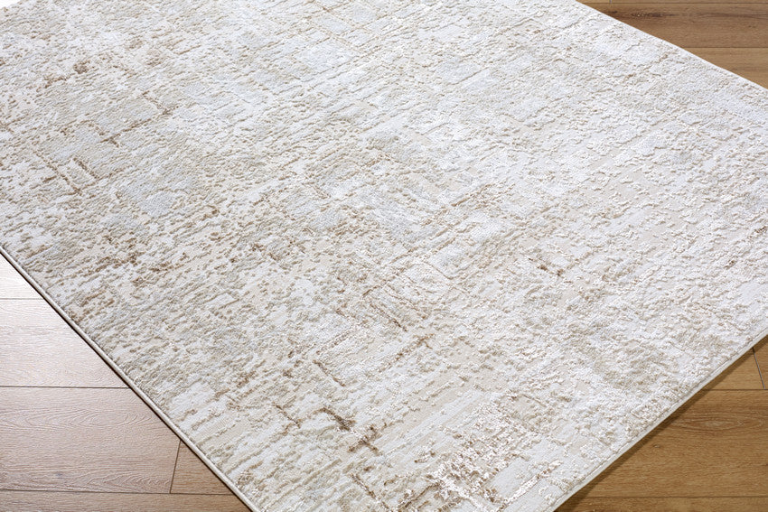 Naji Modern Beige Area Rug