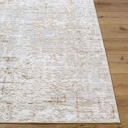 Naji Modern Beige Area Rug