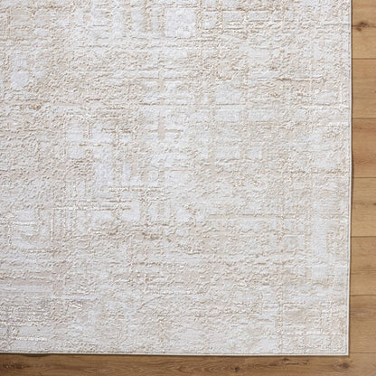 Naji Modern Beige Area Rug