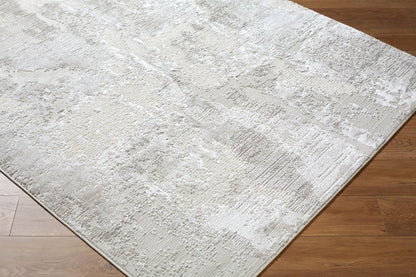 Alton Modern Medium Gray Area Rug