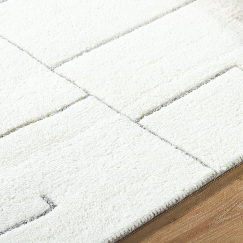 Adrien Global Light Silver Area Rug