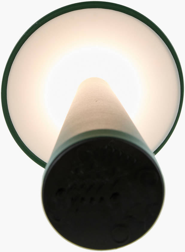 Aleasha Traditional Green Table Lamp