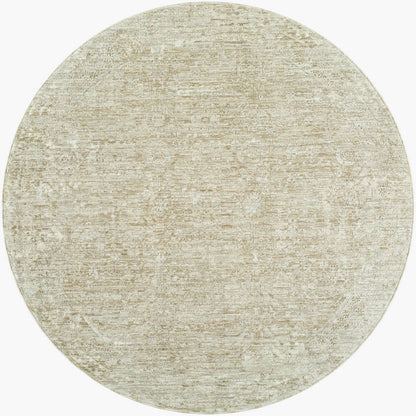 Beth Traditional Dusty Sage Area Rug - Vivir x Livabliss