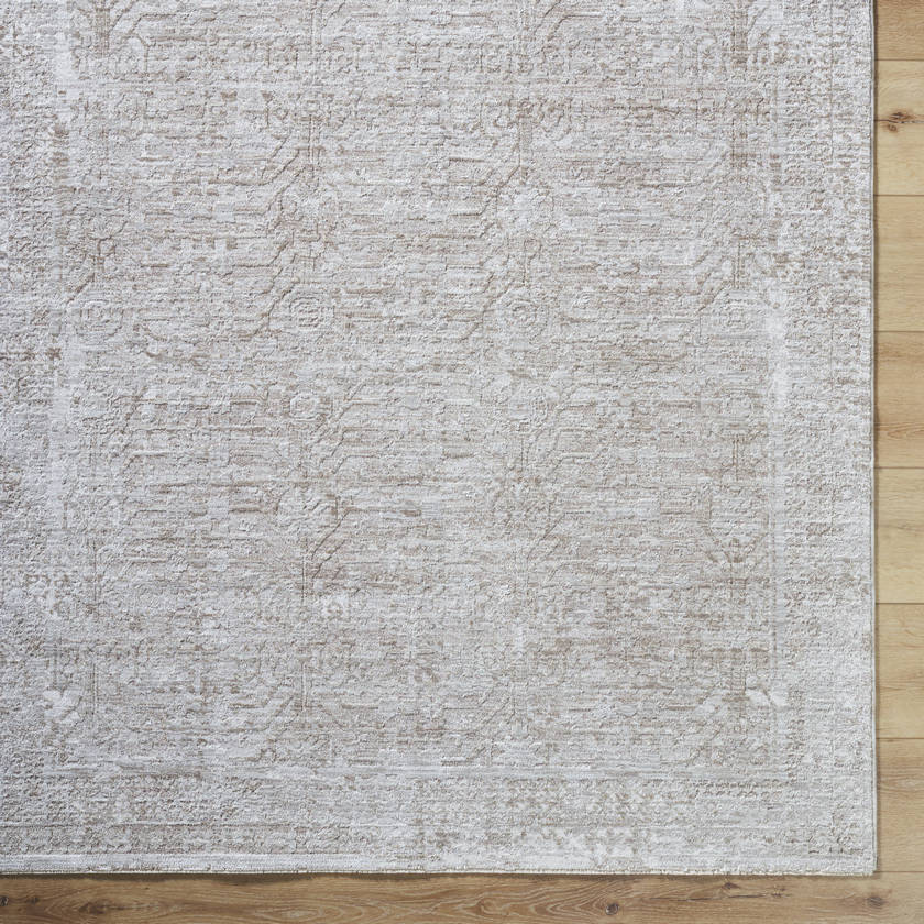 Beth Traditional Dusty Sage Area Rug - Vivir x Livabliss