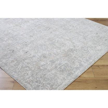 Reshonda Traditional Ash Area Rug