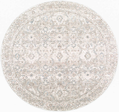 Trenna Traditional Light Silver Area Rug