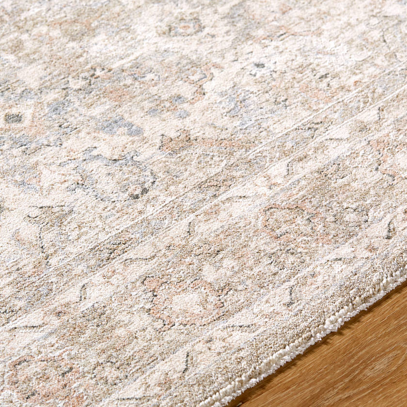 Trenna Traditional Light Silver Area Rug