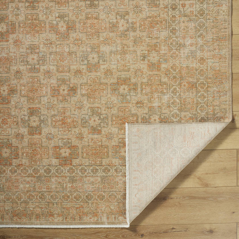Benjamine Traditional Light Beige/Tan Area Rug