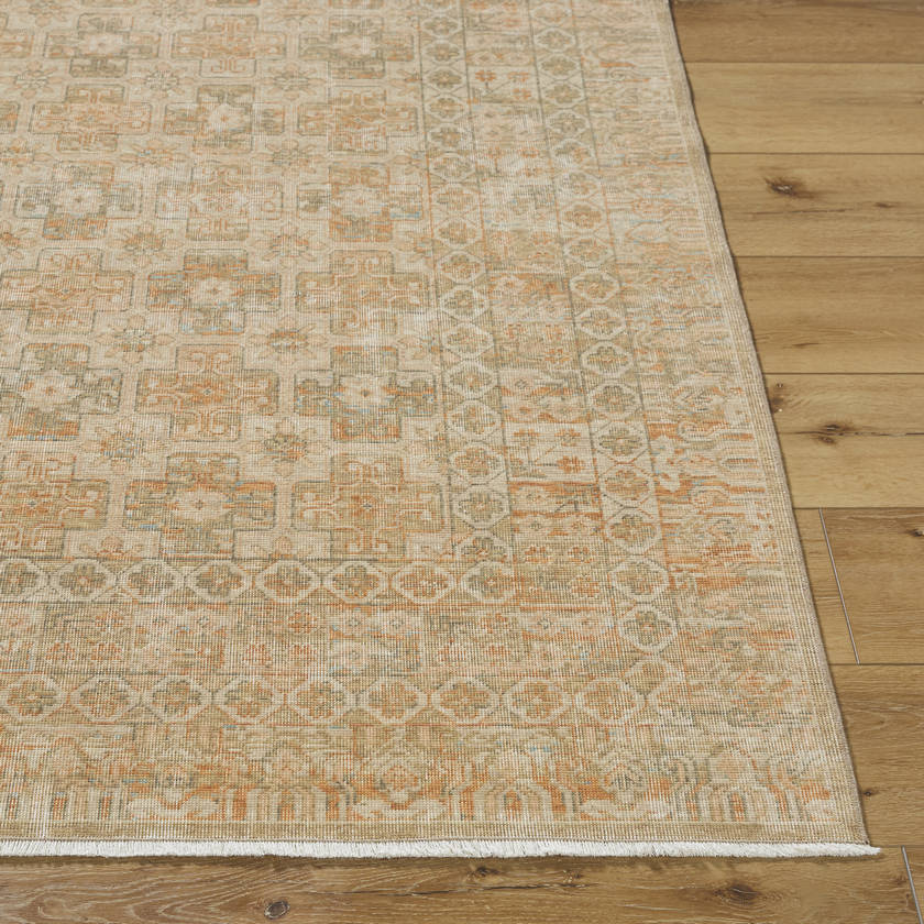 Benjamine Traditional Light Beige/Tan Area Rug