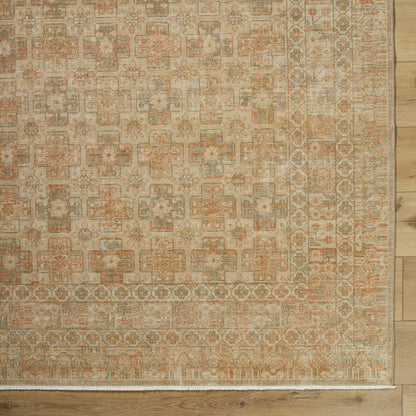 Benjamine Traditional Light Beige/Tan Area Rug