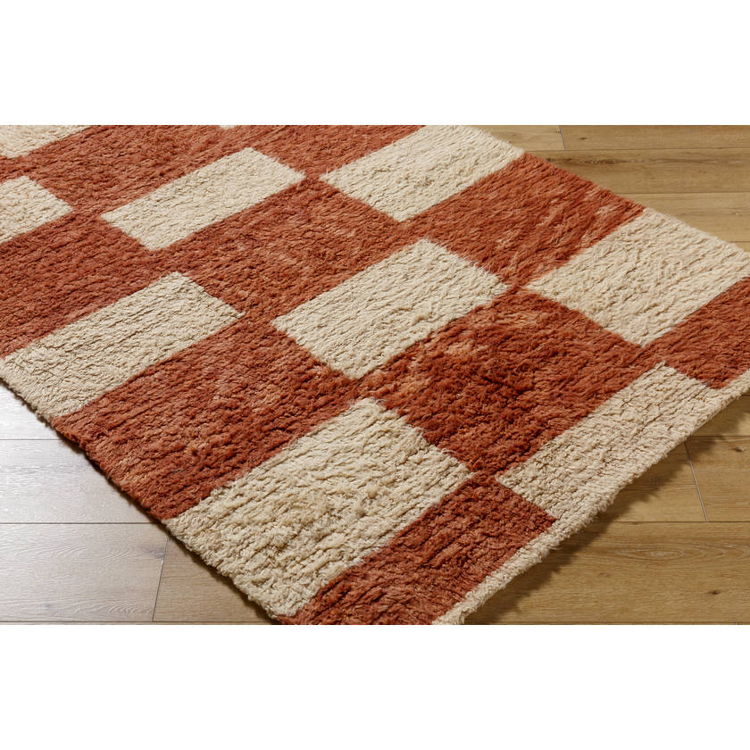 Lima Modern Clay Area Rug