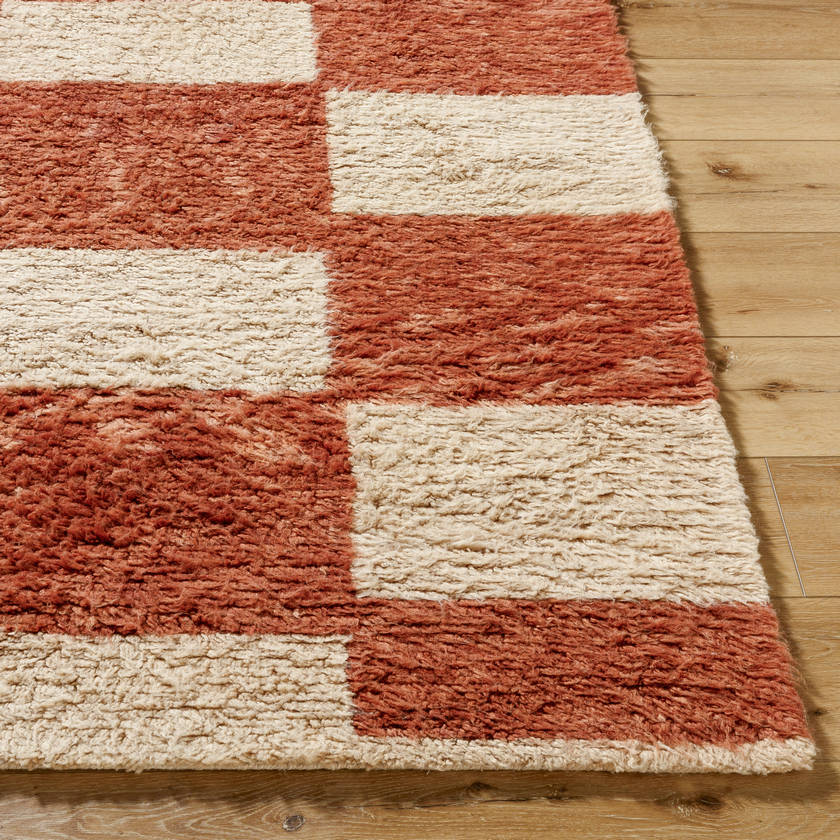 Lima Modern Clay Area Rug