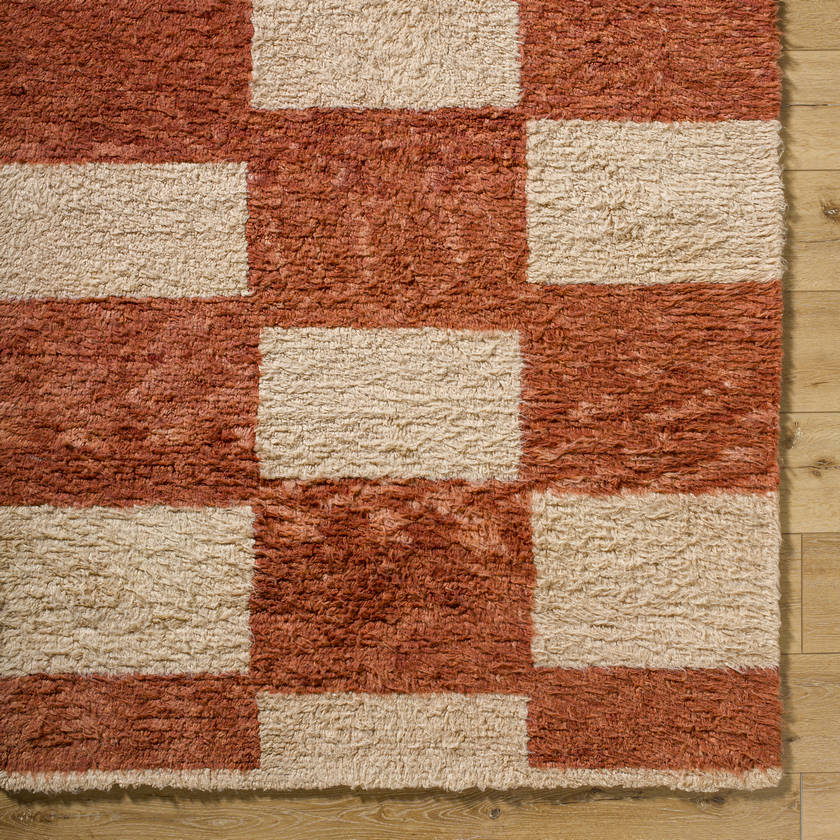 Lima Modern Clay Area Rug