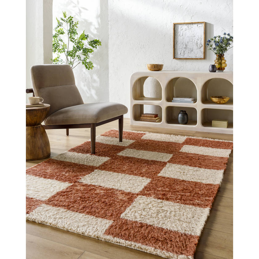 Lima Modern Clay Area Rug