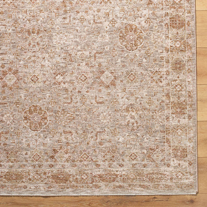 Cassy Traditional Tan Area Rug