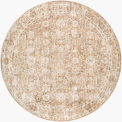 Cassy Traditional Light Brown Area Rug