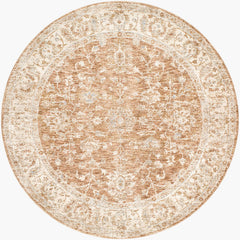 Jomarie Traditional Tan Area Rug