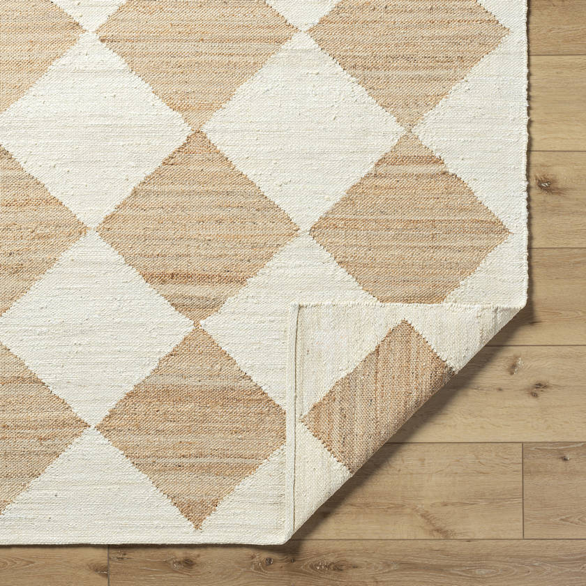 Antho Modern Beige Area Rug - Vivir x Livabliss
