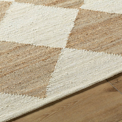 Antho Modern Beige Area Rug - Vivir x Livabliss