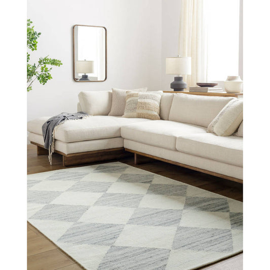 Antho Modern Light Silver Area Rug - Vivir x Livabliss