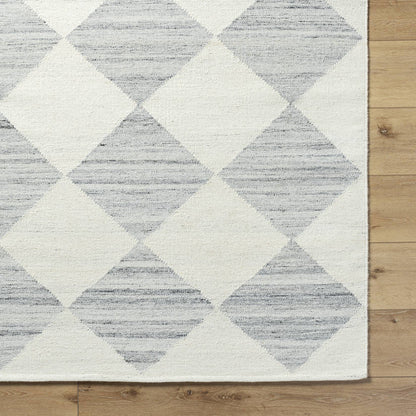 Antho Modern Light Silver Area Rug - Vivir x Livabliss
