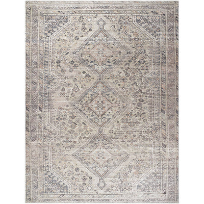 Eleni Traditional Gray Washable Area Rug - Vivir x Livabliss