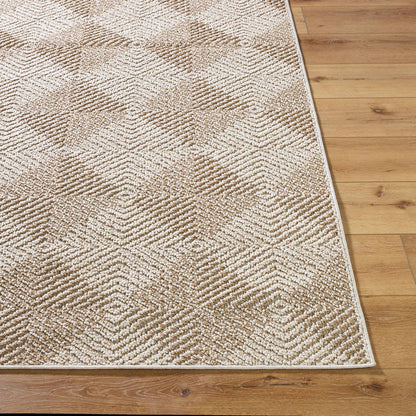 Kaya Cottage Tan Area Rug - Vivir x Livabliss
