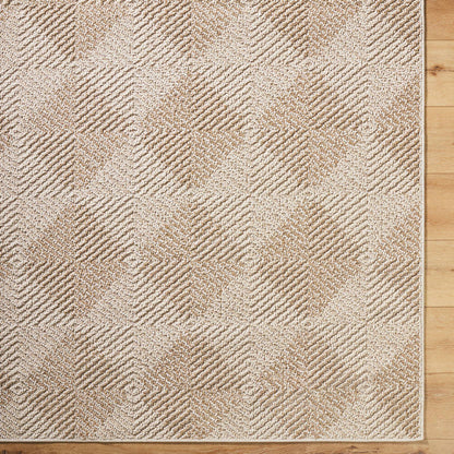 Kaya Cottage Tan Area Rug - Vivir x Livabliss