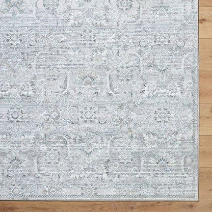 Deval Traditional Gray Area Rug