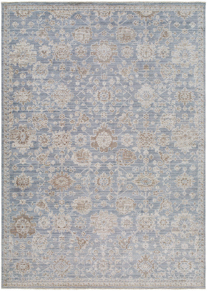 Joya Traditional Denim Area Rug