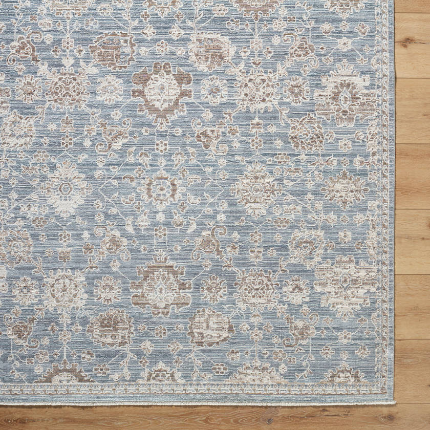 Joya Traditional Denim Area Rug