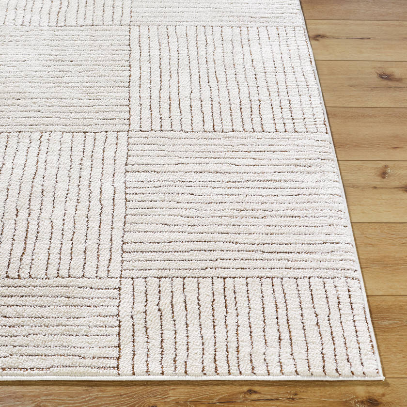 Architect Modern Ivory/Dark Brown Area Rug - Galey Alix Livabliss