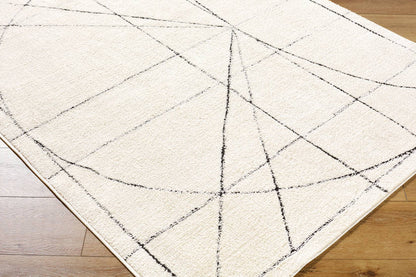 Architect Modern Black/Ivory Area Rug - Galey Alix Livabliss
