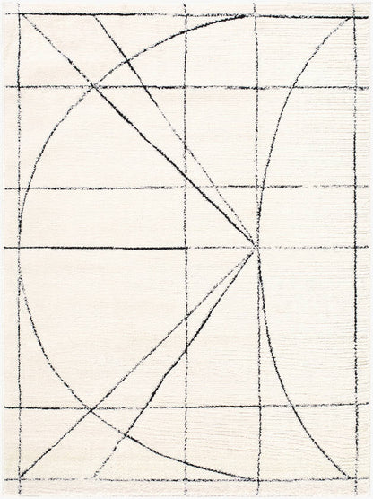 Architect Modern Black/Ivory Area Rug - Galey Alix Livabliss