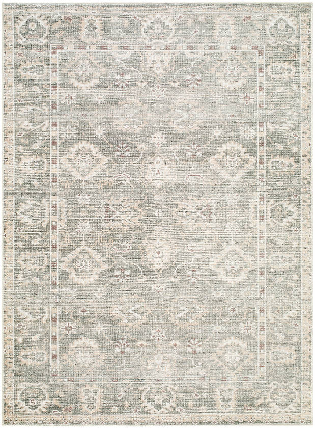 Collins Avenue Traditional Dusty Sage Area Rug - Galey Alix Livabliss
