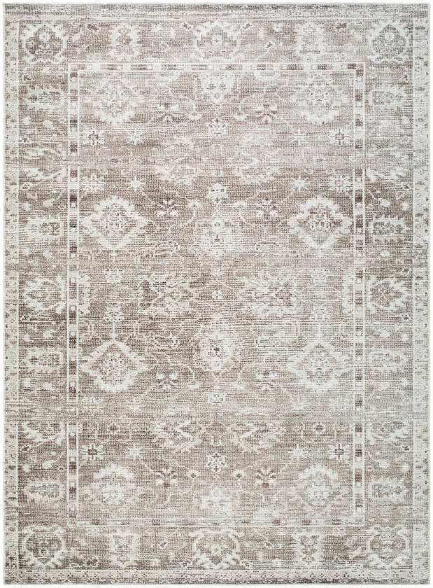Collins Avenue Traditional Brown Area Rug - Galey Alix Livabliss