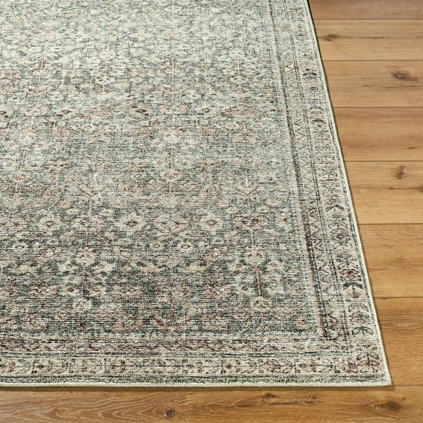 Collins Avenue Traditional Rust/Brown Area Rug - Galey Alix Livabliss