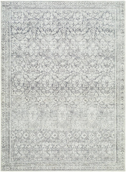Collins Avenue Traditional Gray/Cream Area Rug - Galey Alix Livabliss