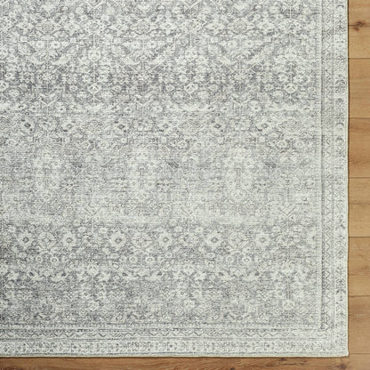 Collins Avenue Traditional Gray/Cream Area Rug - Galey Alix Livabliss
